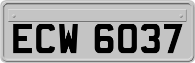 ECW6037