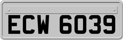 ECW6039