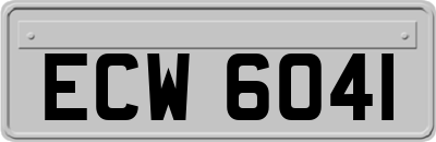 ECW6041