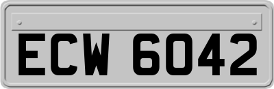ECW6042