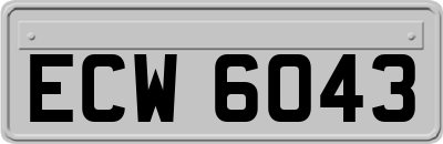 ECW6043