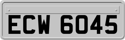 ECW6045