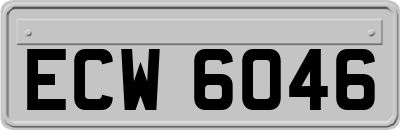 ECW6046