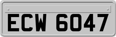 ECW6047