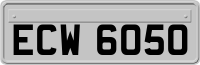 ECW6050