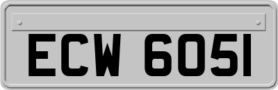 ECW6051