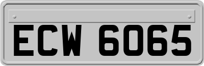 ECW6065