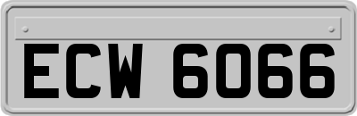 ECW6066