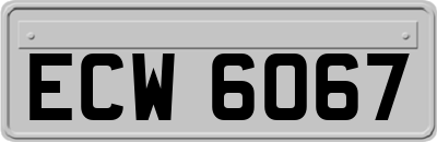 ECW6067
