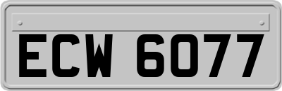 ECW6077