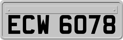 ECW6078