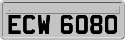 ECW6080