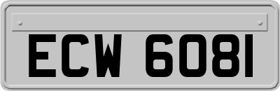 ECW6081