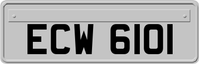 ECW6101