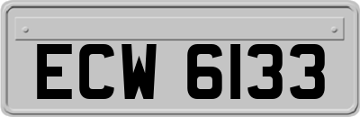 ECW6133