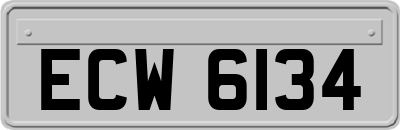 ECW6134