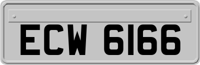 ECW6166