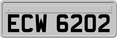 ECW6202
