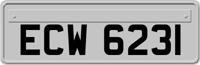 ECW6231
