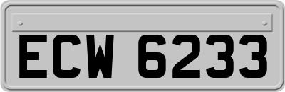ECW6233