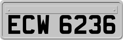 ECW6236