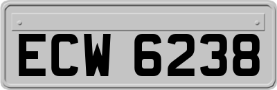 ECW6238