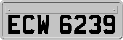 ECW6239