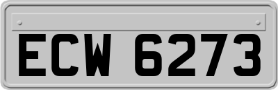 ECW6273