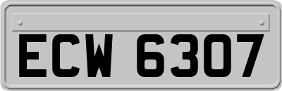 ECW6307