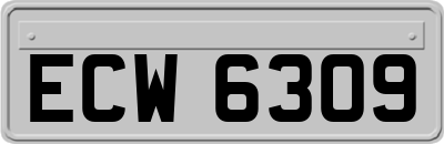 ECW6309