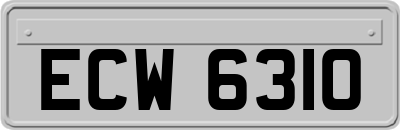 ECW6310