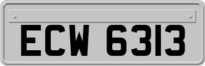 ECW6313
