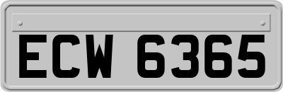 ECW6365