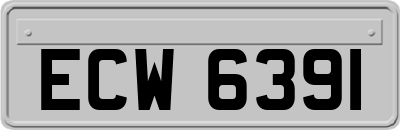 ECW6391