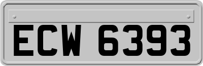 ECW6393