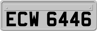 ECW6446