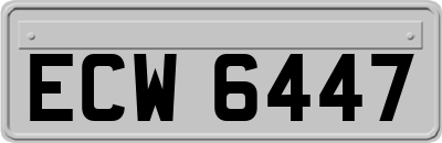 ECW6447