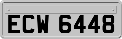 ECW6448
