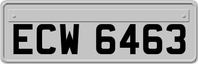 ECW6463
