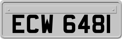 ECW6481