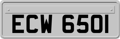 ECW6501
