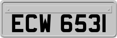 ECW6531