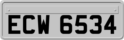 ECW6534