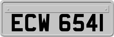 ECW6541