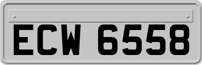 ECW6558