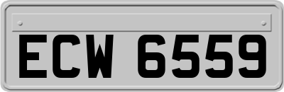 ECW6559