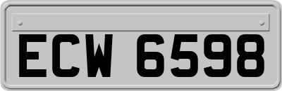 ECW6598