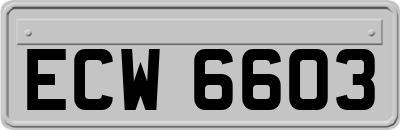 ECW6603