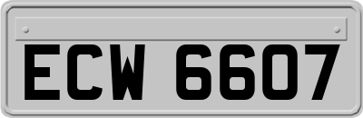 ECW6607