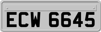 ECW6645